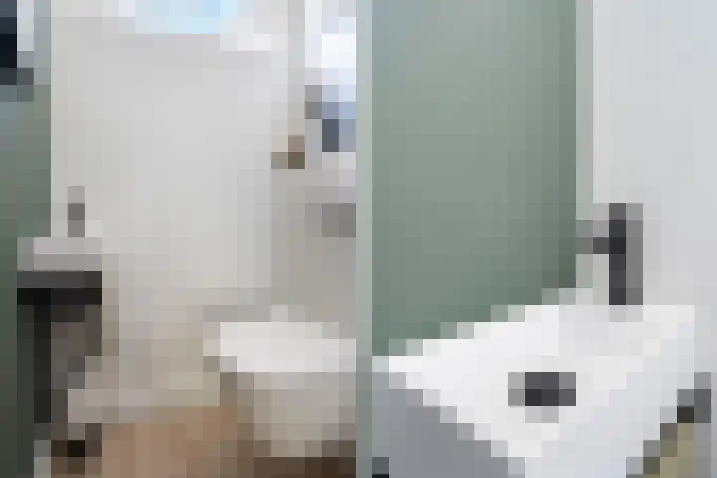 Medeaschouw 54 Zoetermeer thumbnail 20