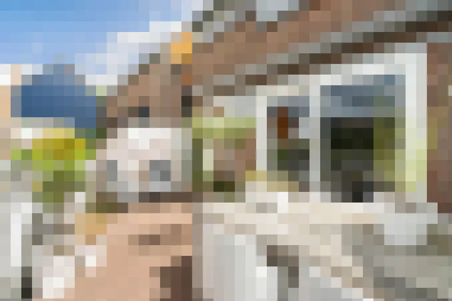 Medeaschouw 54 Zoetermeer thumbnail 22