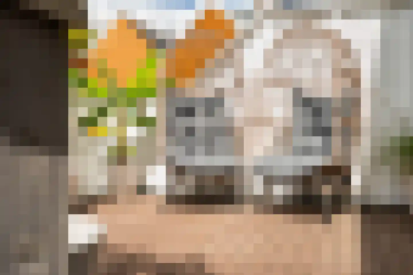 Medeaschouw 54 Zoetermeer thumbnail 23