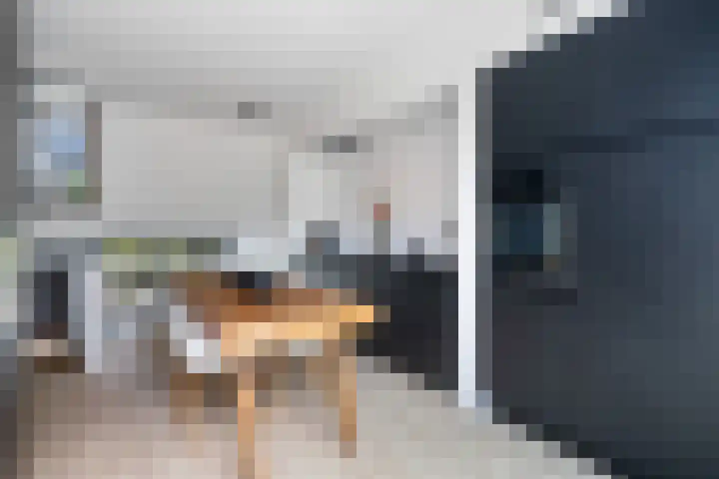 Medeaschouw 54 Zoetermeer thumbnail 25