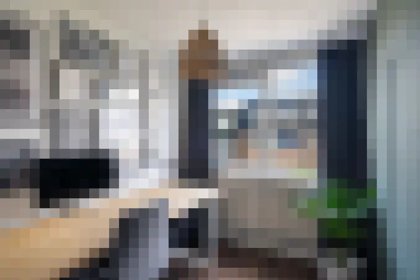 Medeaschouw 54 Zoetermeer thumbnail 28