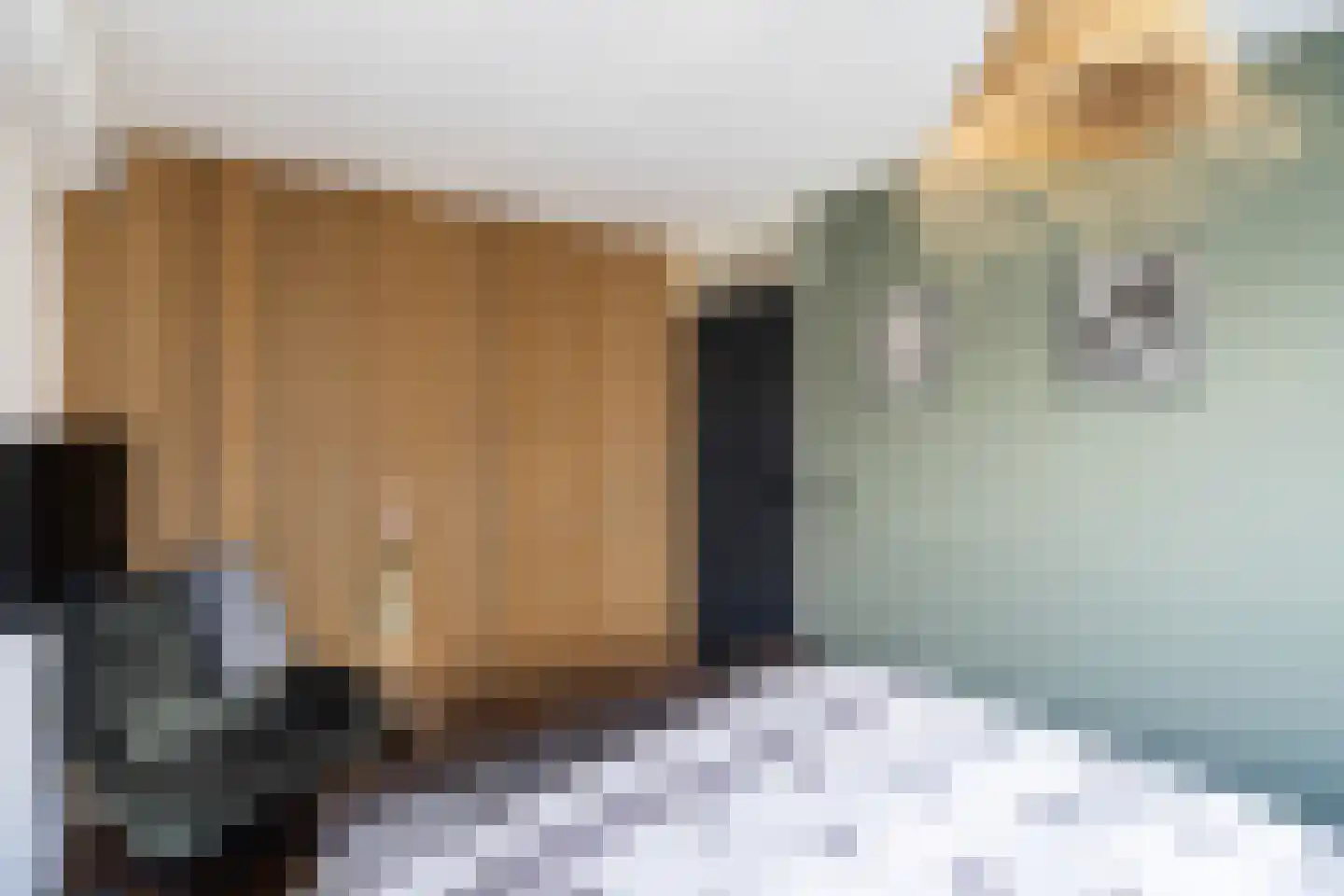 Medeaschouw 54 Zoetermeer thumbnail 31