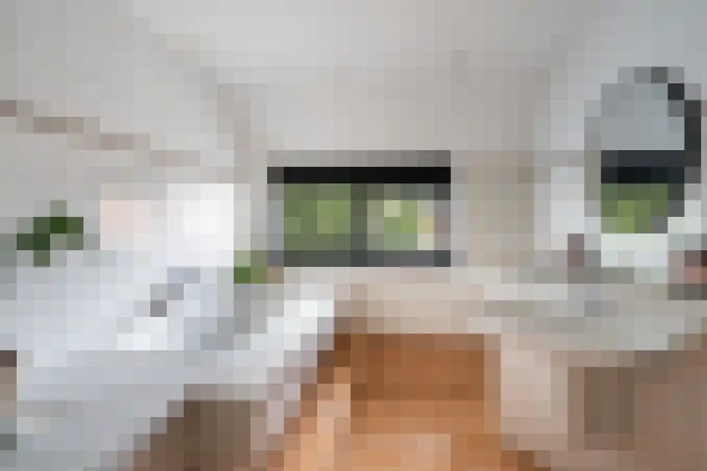 Medeaschouw 54 Zoetermeer thumbnail 36