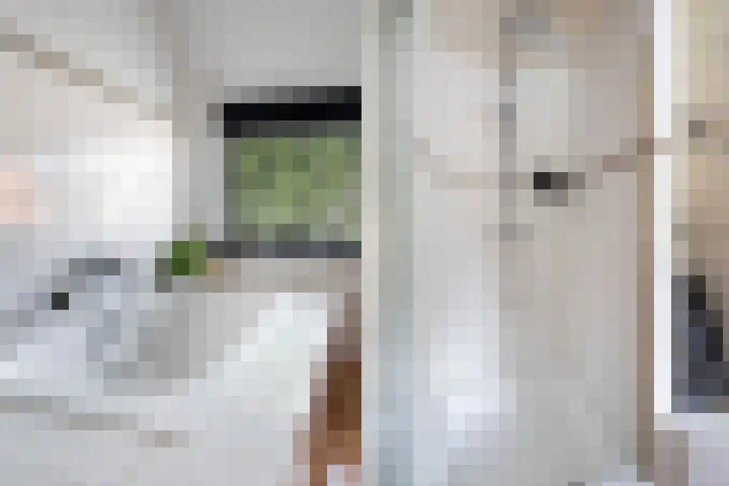 Medeaschouw 54 Zoetermeer thumbnail 38
