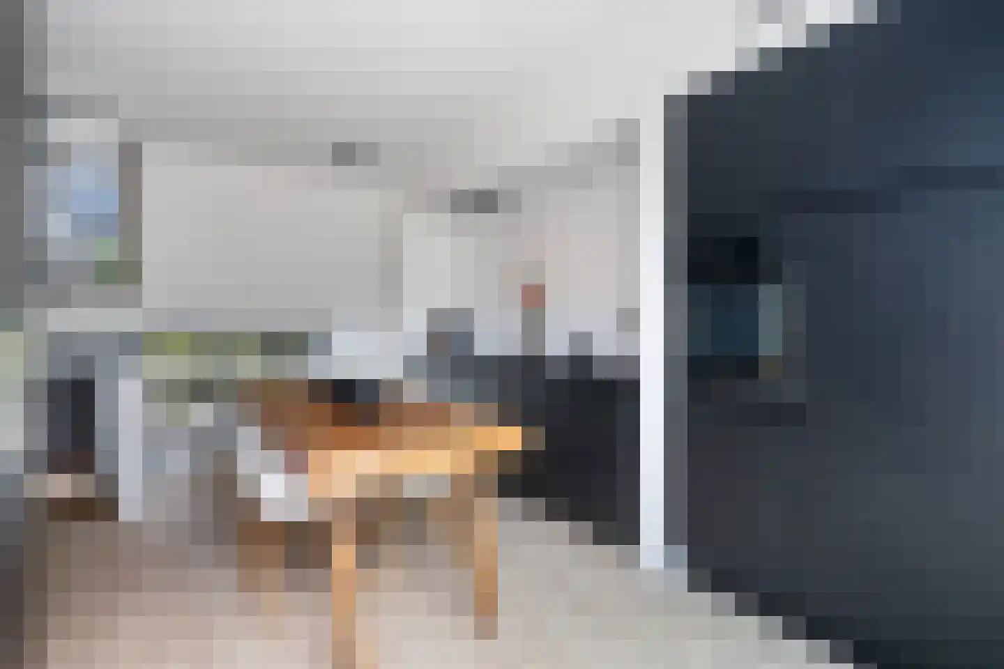 Medeaschouw 54 Zoetermeer thumbnail 4