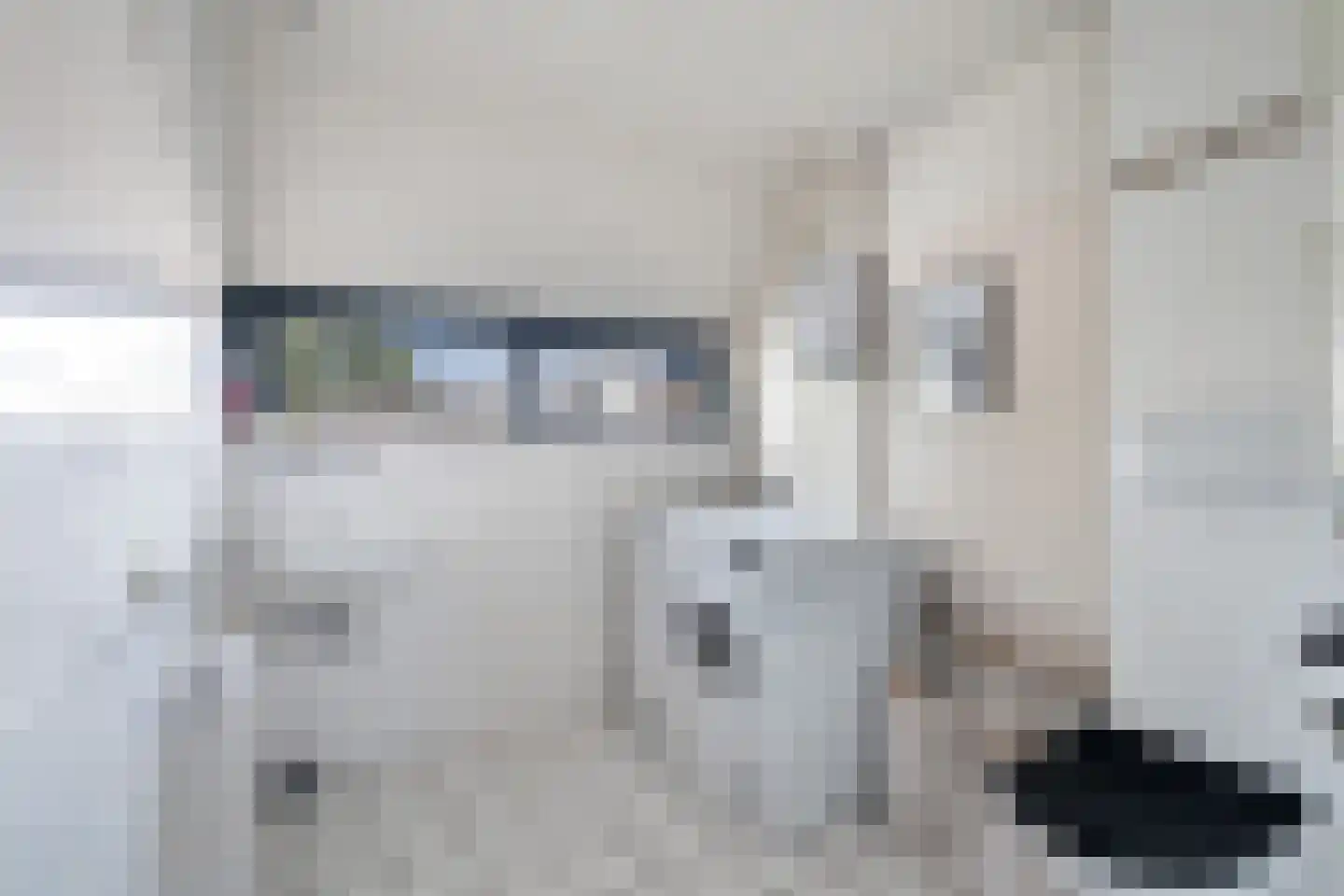 Medeaschouw 54 Zoetermeer thumbnail 40