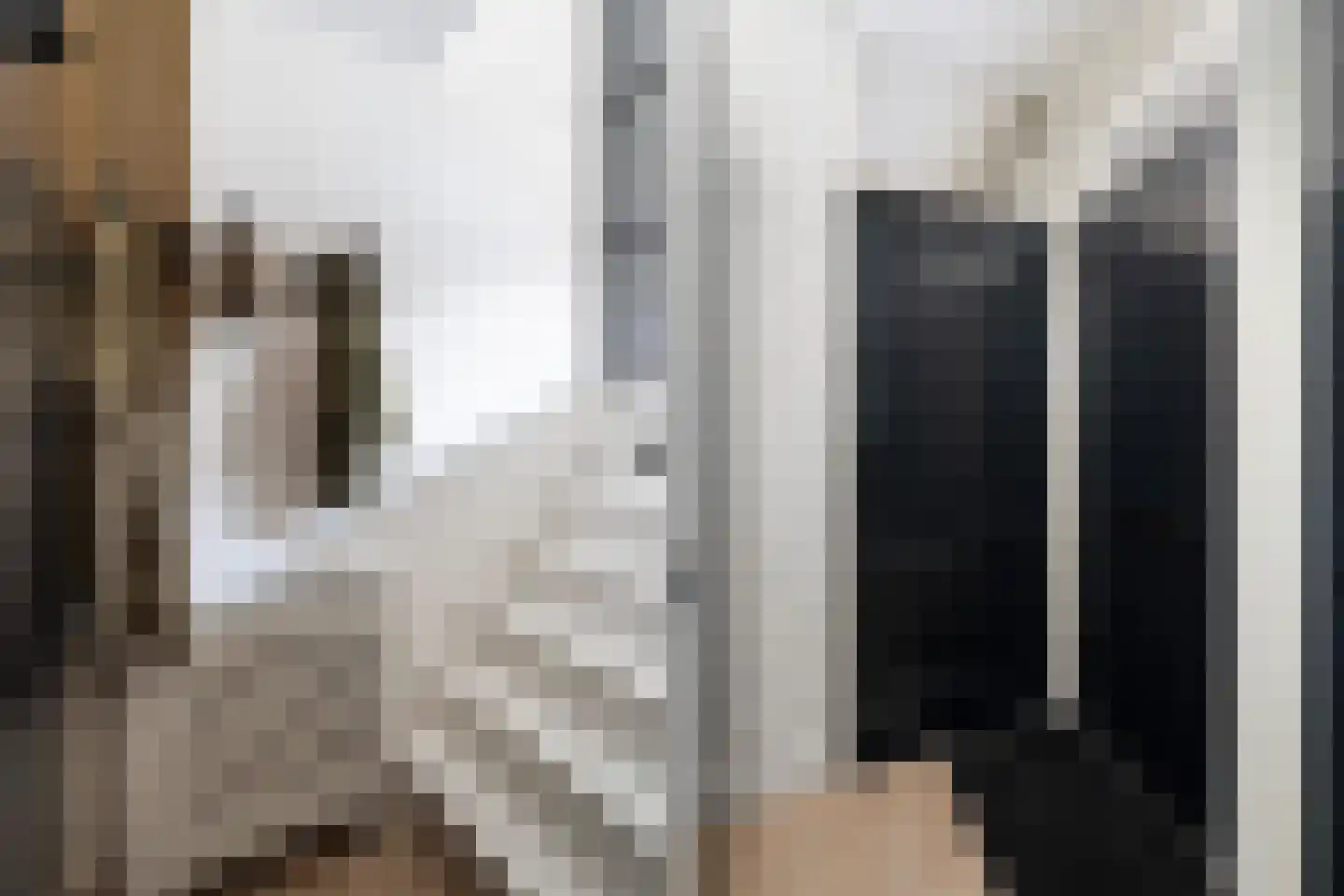 Medeaschouw 54 Zoetermeer thumbnail 42