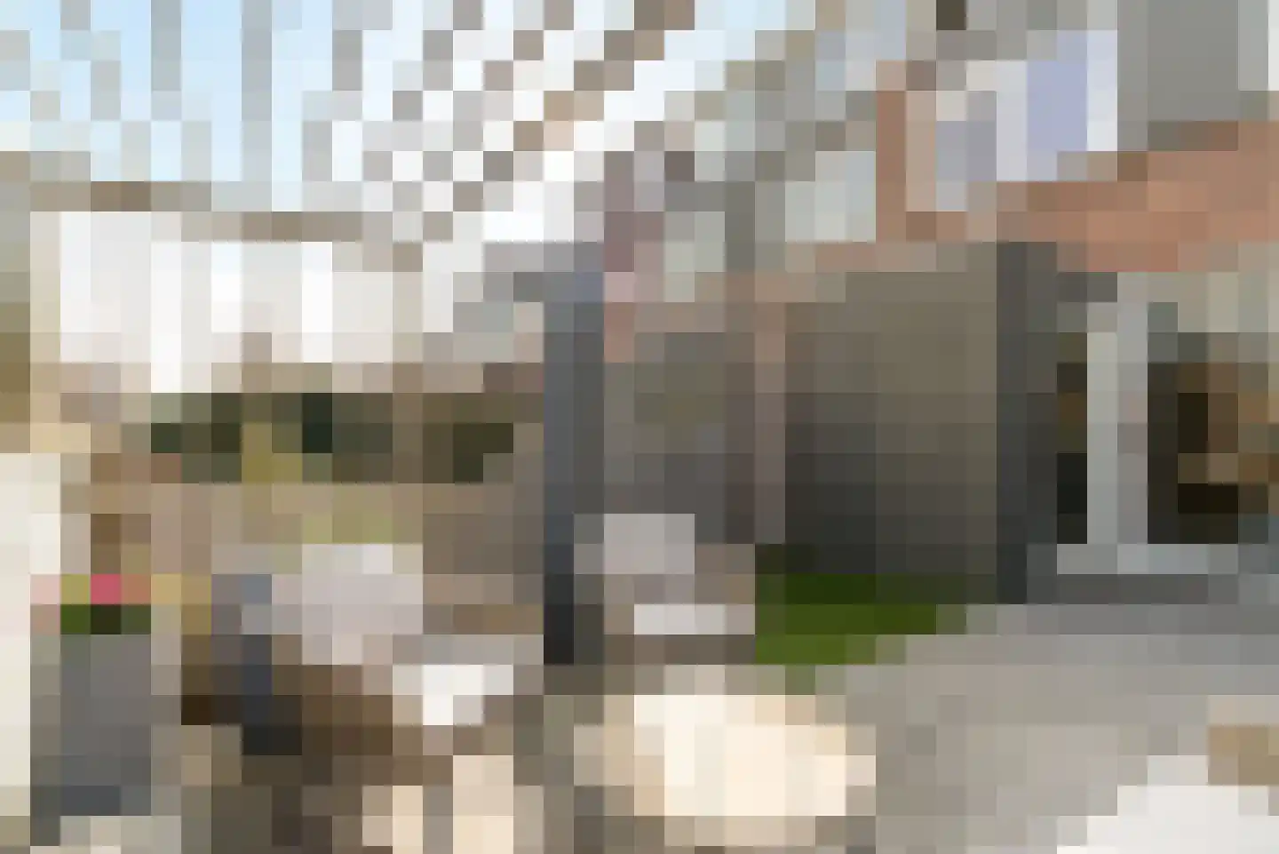 Medeaschouw 56 Zoetermeer thumbnail 15