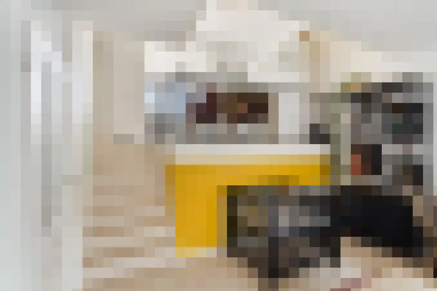 Medeaschouw 56 Zoetermeer thumbnail 19
