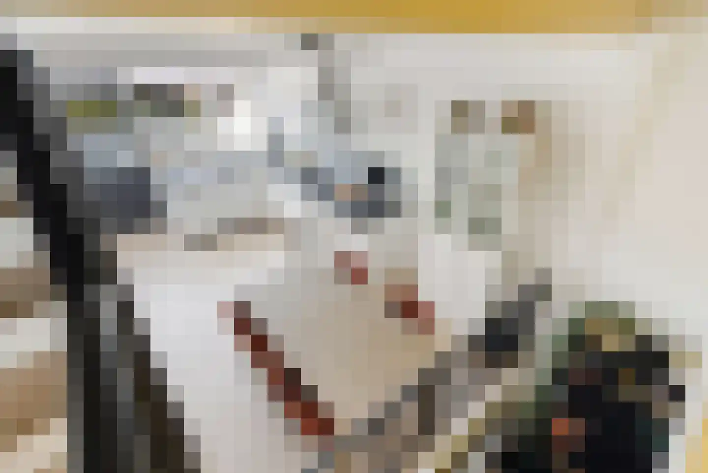 Medeaschouw 56 Zoetermeer thumbnail 28