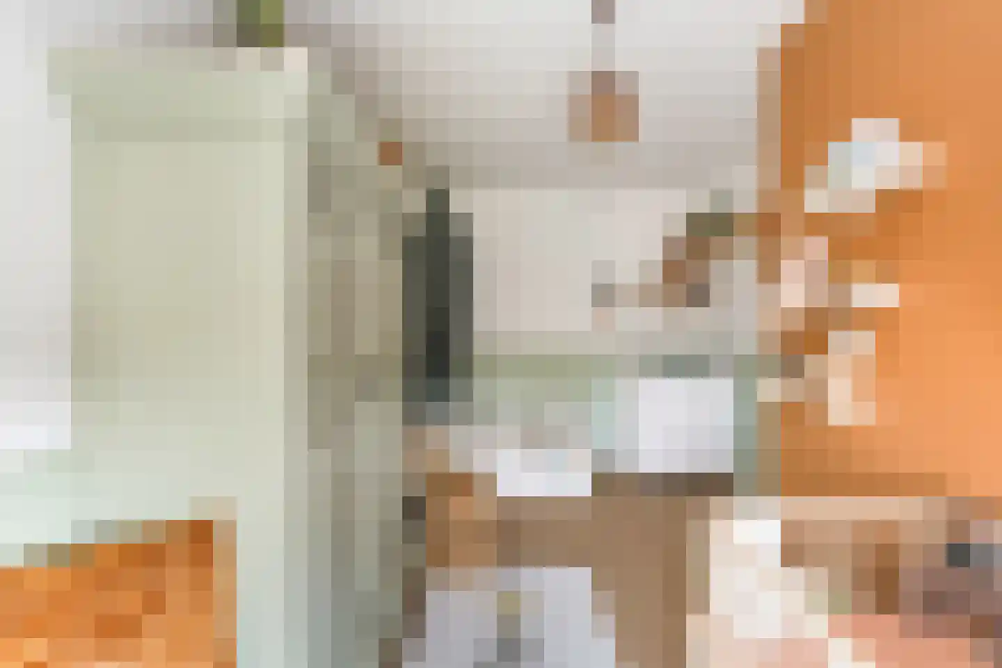Medeaschouw 56 Zoetermeer thumbnail 33