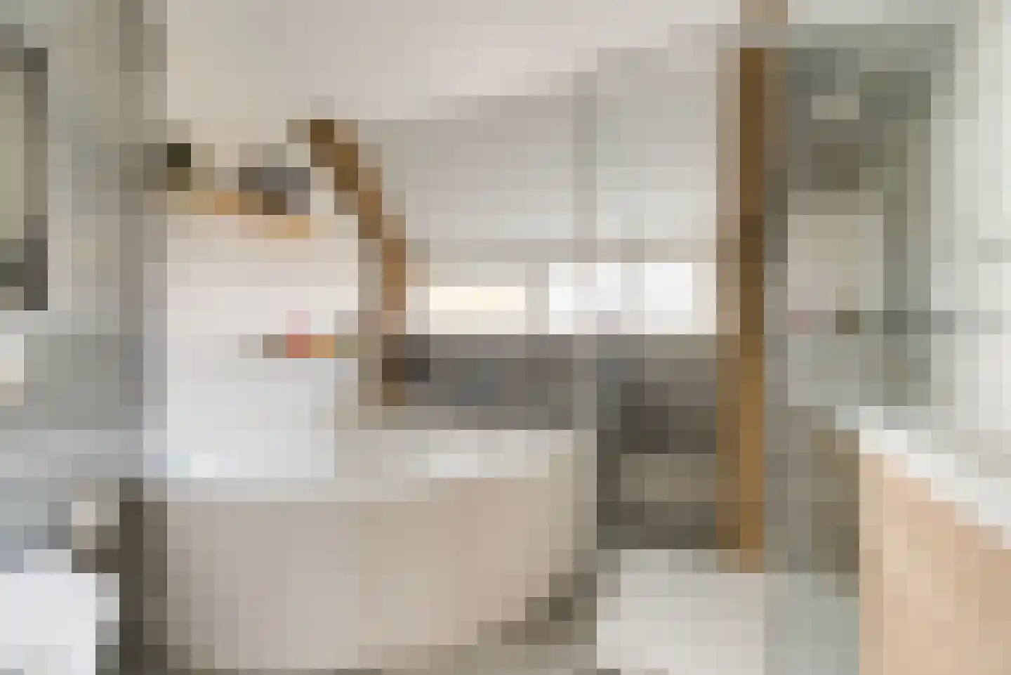 Medeaschouw 56 Zoetermeer thumbnail 34