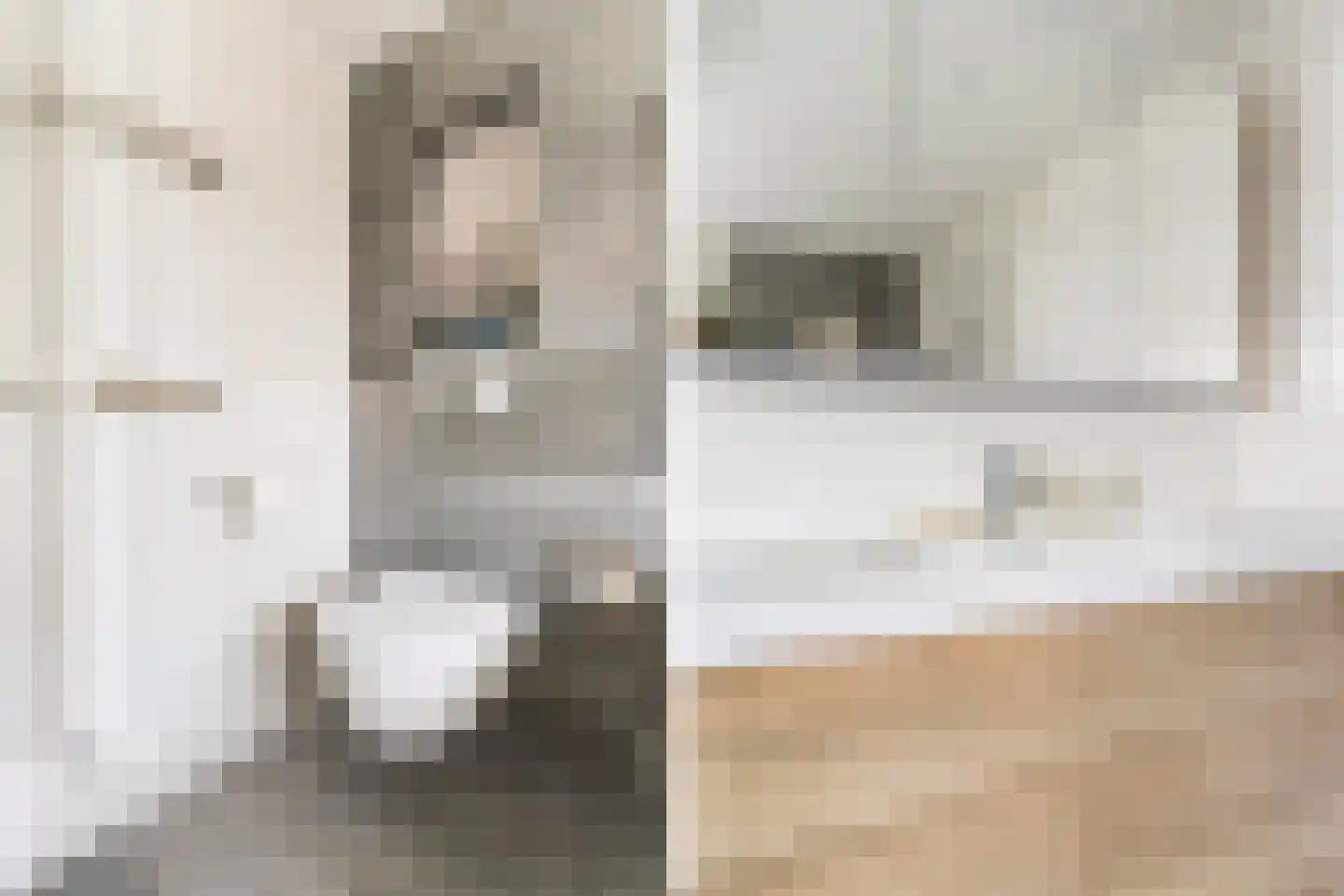 Medeaschouw 56 Zoetermeer thumbnail 35