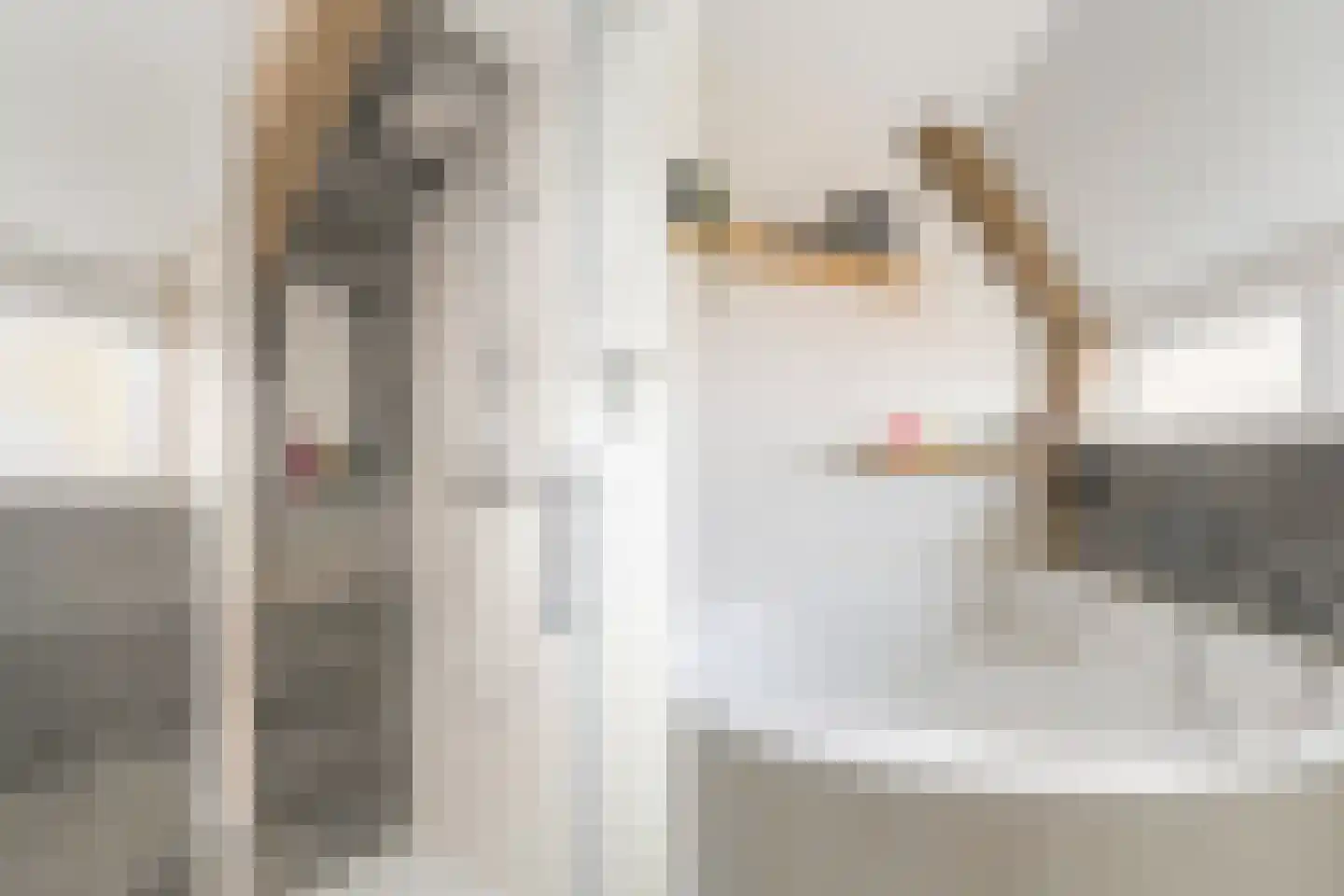 Medeaschouw 56 Zoetermeer thumbnail 36
