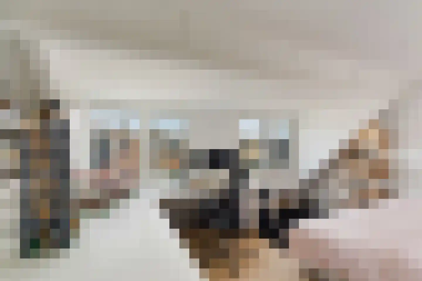 Medeaschouw 56 Zoetermeer thumbnail 39