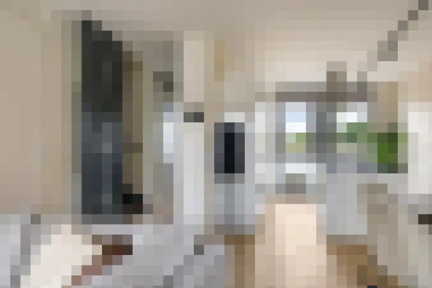 Medeastraat 31 Arnhem thumbnail 23