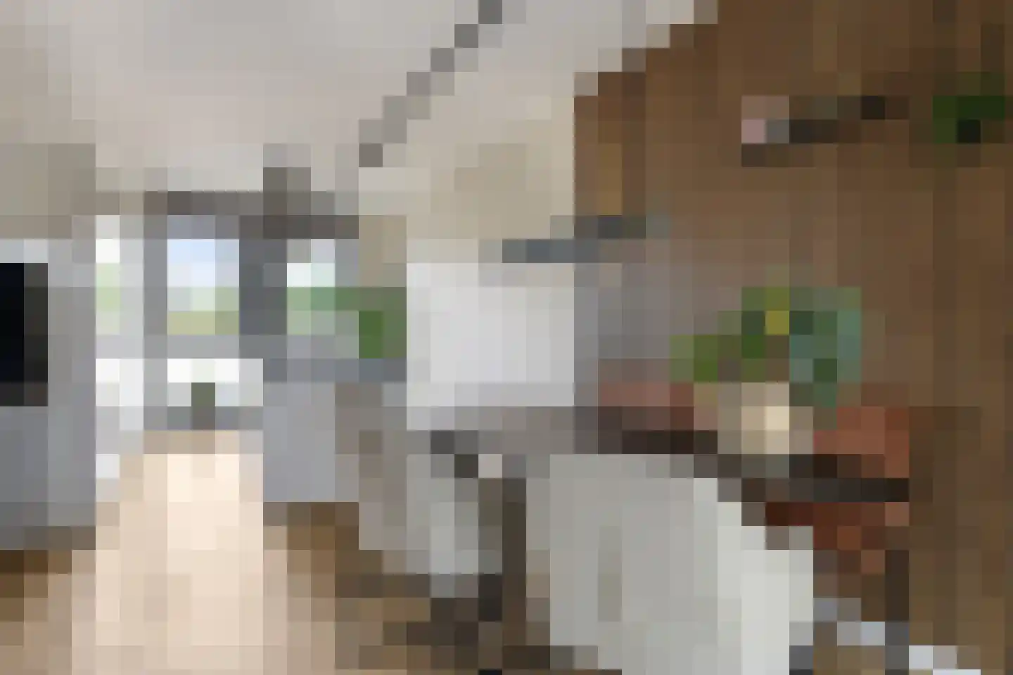 Medeastraat 31 Arnhem thumbnail 24
