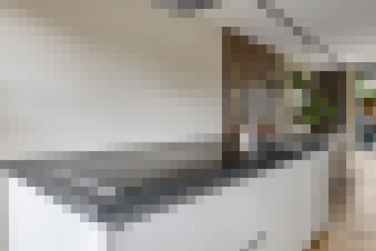 Medeastraat 31 Arnhem thumbnail 29