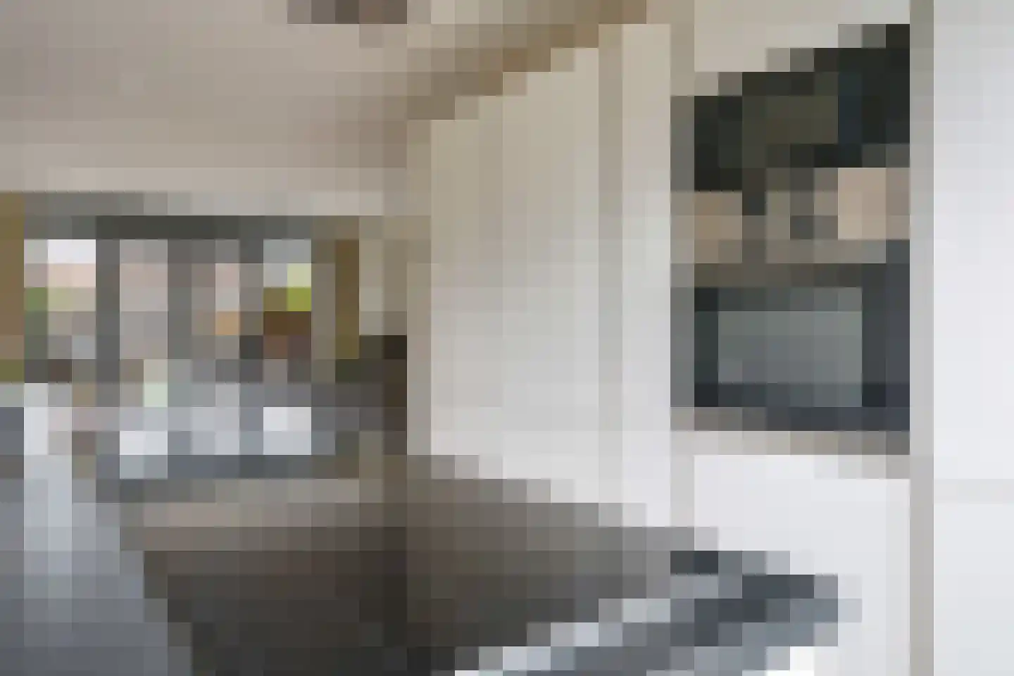 Medeastraat 31 Arnhem thumbnail 30