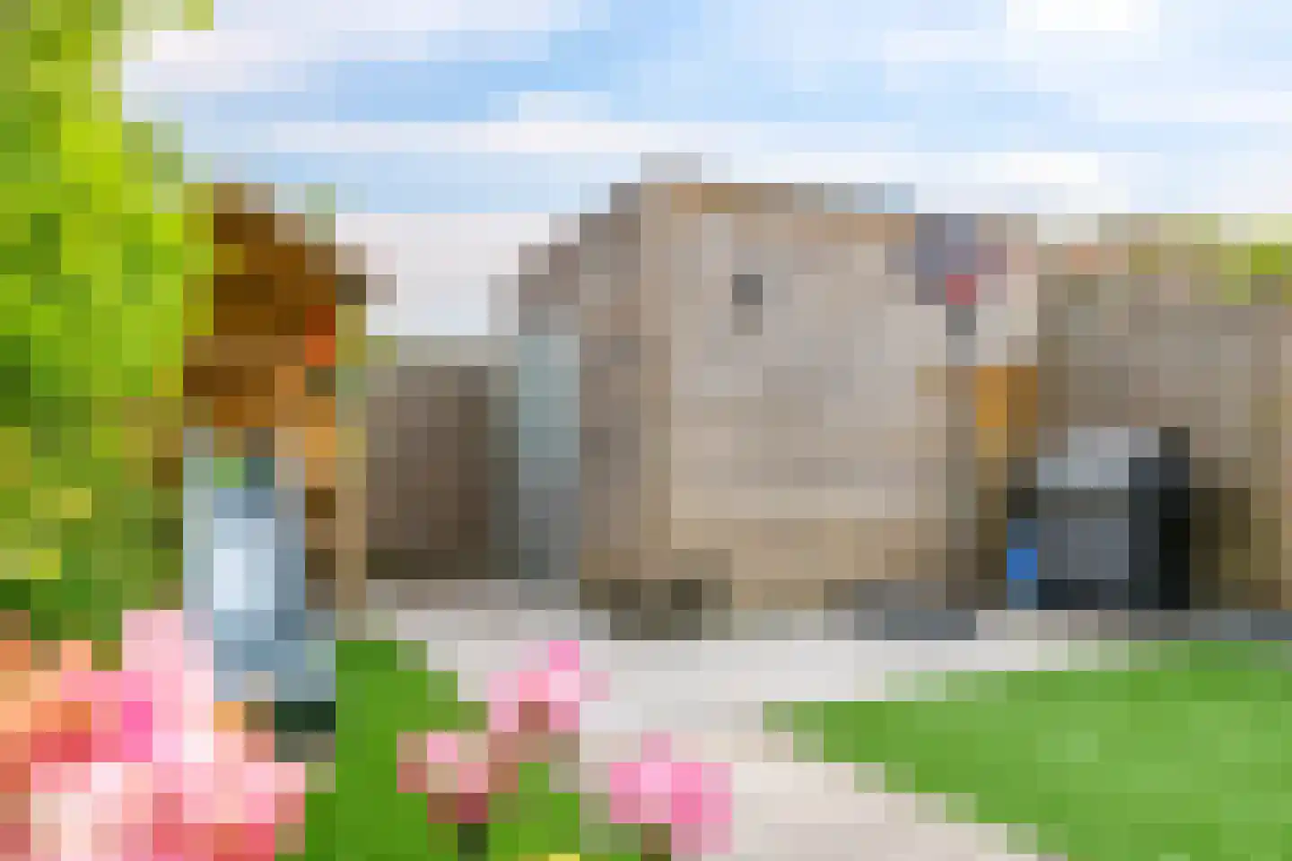 Medeastraat 31 Arnhem thumbnail 35