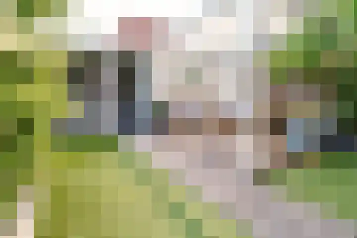 Medeastraat 39 Arnhem thumbnail 17