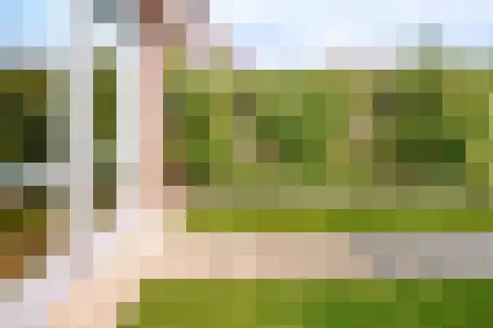 Medeastraat 39 Arnhem thumbnail 18