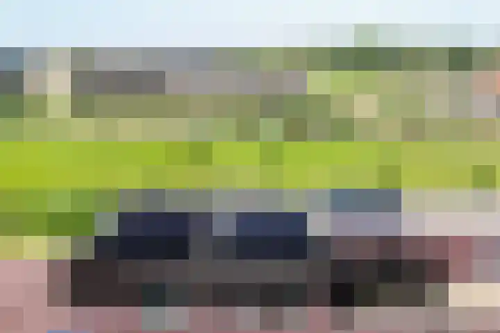 Medeastraat 39 Arnhem thumbnail 20