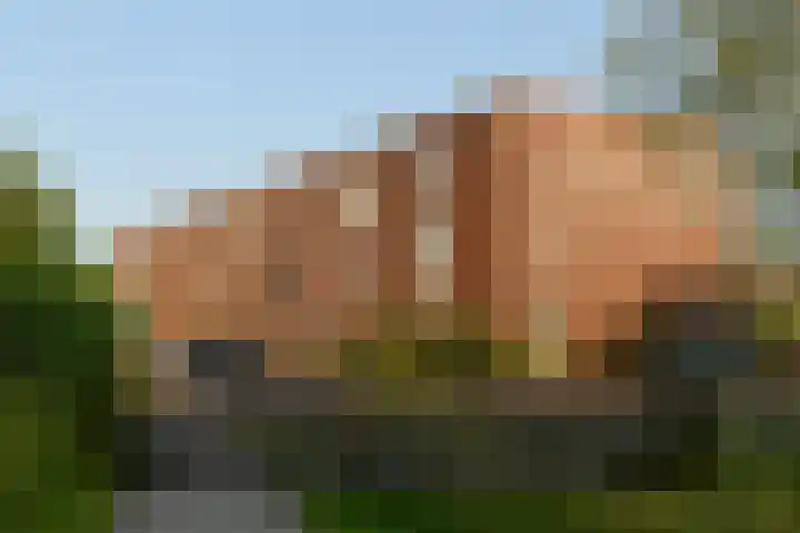 Medeastraat 39 Arnhem thumbnail 4