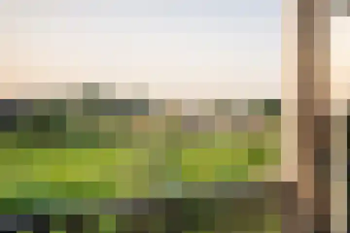 Medeastraat 39 Arnhem thumbnail 42