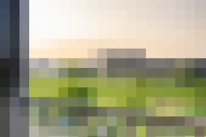 Medeastraat 39 Arnhem thumbnail 43
