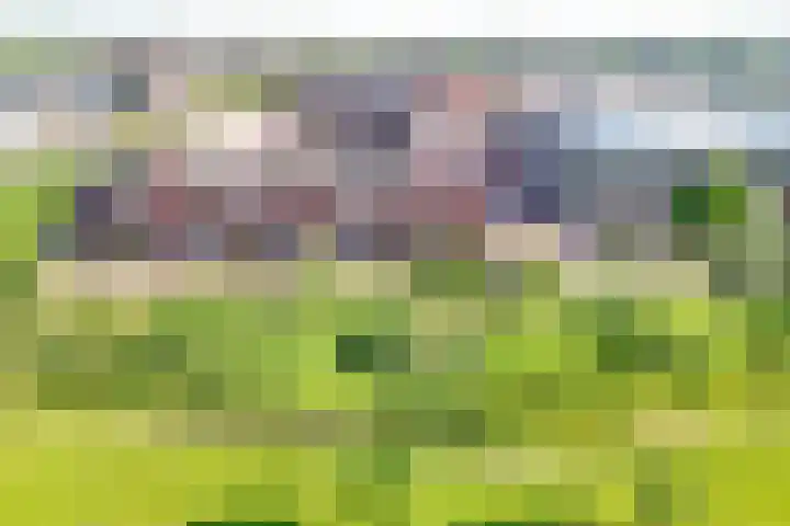 Medeastraat 39 Arnhem thumbnail 51