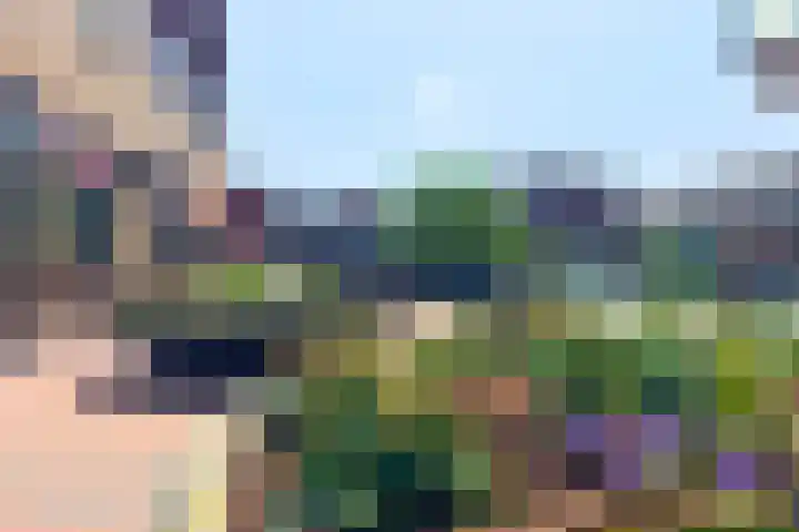 Medeastraat 39 Arnhem thumbnail 56