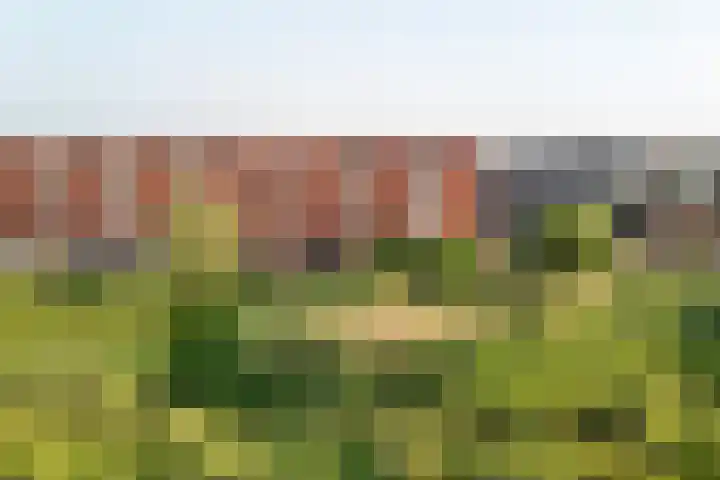 Medeastraat 39 Arnhem thumbnail 57