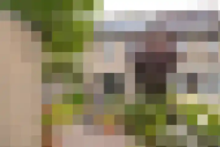 Medeastraat 39 Arnhem thumbnail 58