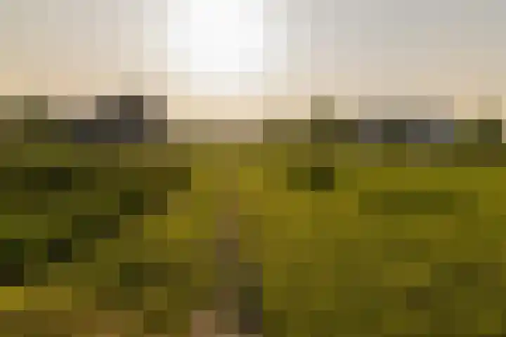 Medeastraat 39 Arnhem thumbnail 58