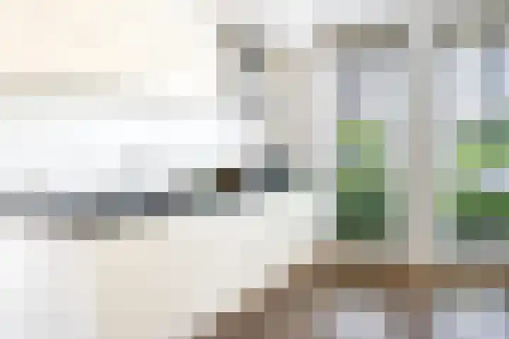 Medeastraat 39 Arnhem thumbnail 8