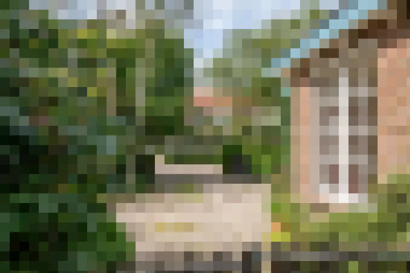 Medelsestraat 10 Tiel thumbnail 12