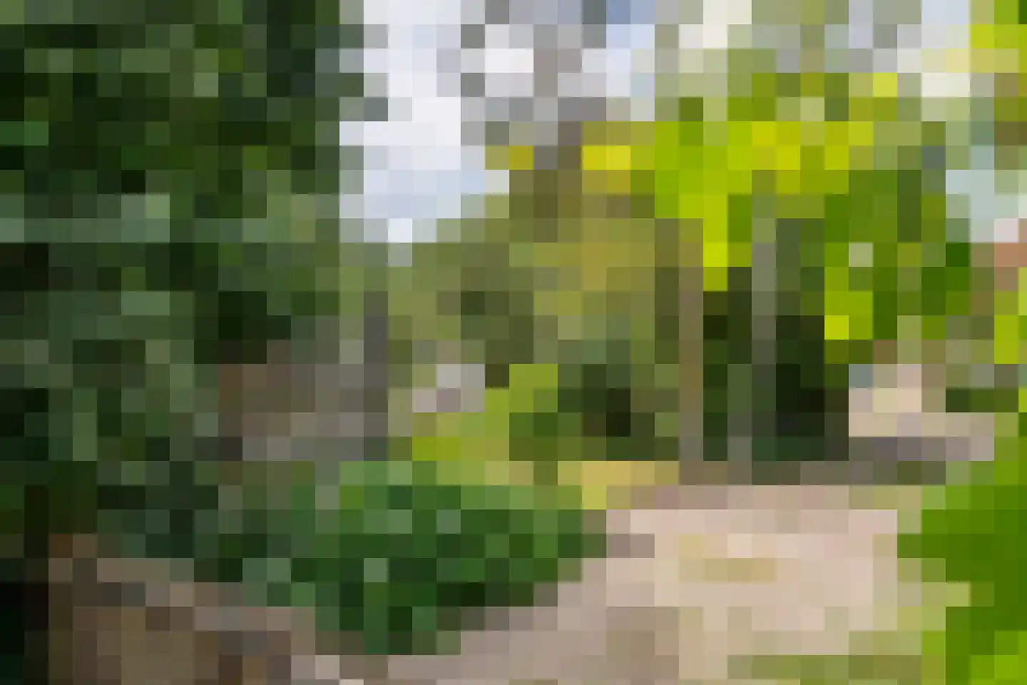 Medelsestraat 10 Tiel thumbnail 13