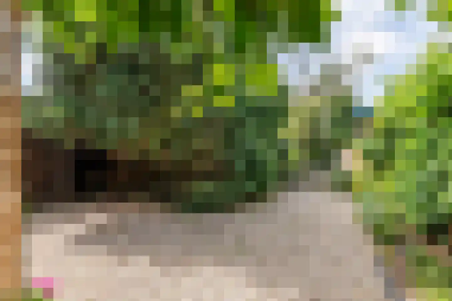 Medelsestraat 10 Tiel thumbnail 14