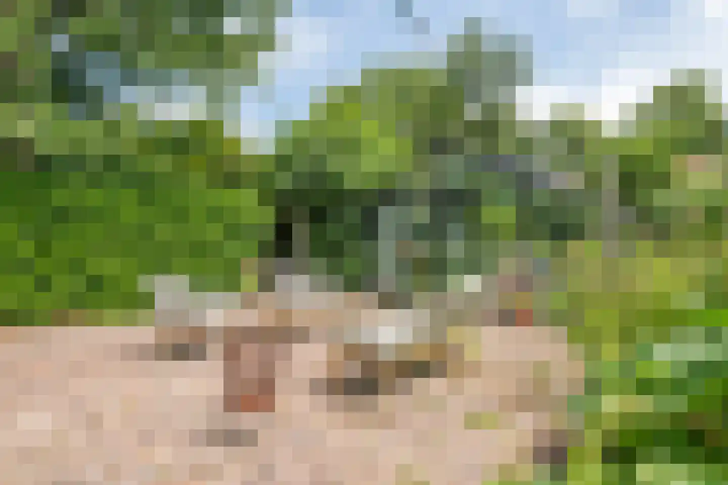 Medelsestraat 10 Tiel thumbnail 18