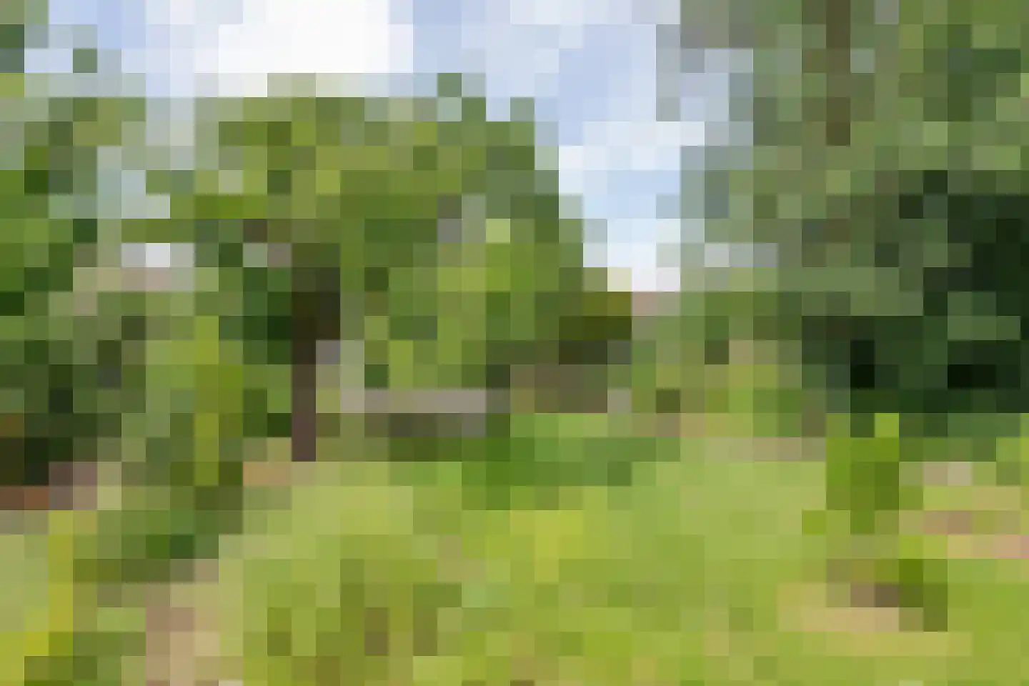 Medelsestraat 10 Tiel thumbnail 23