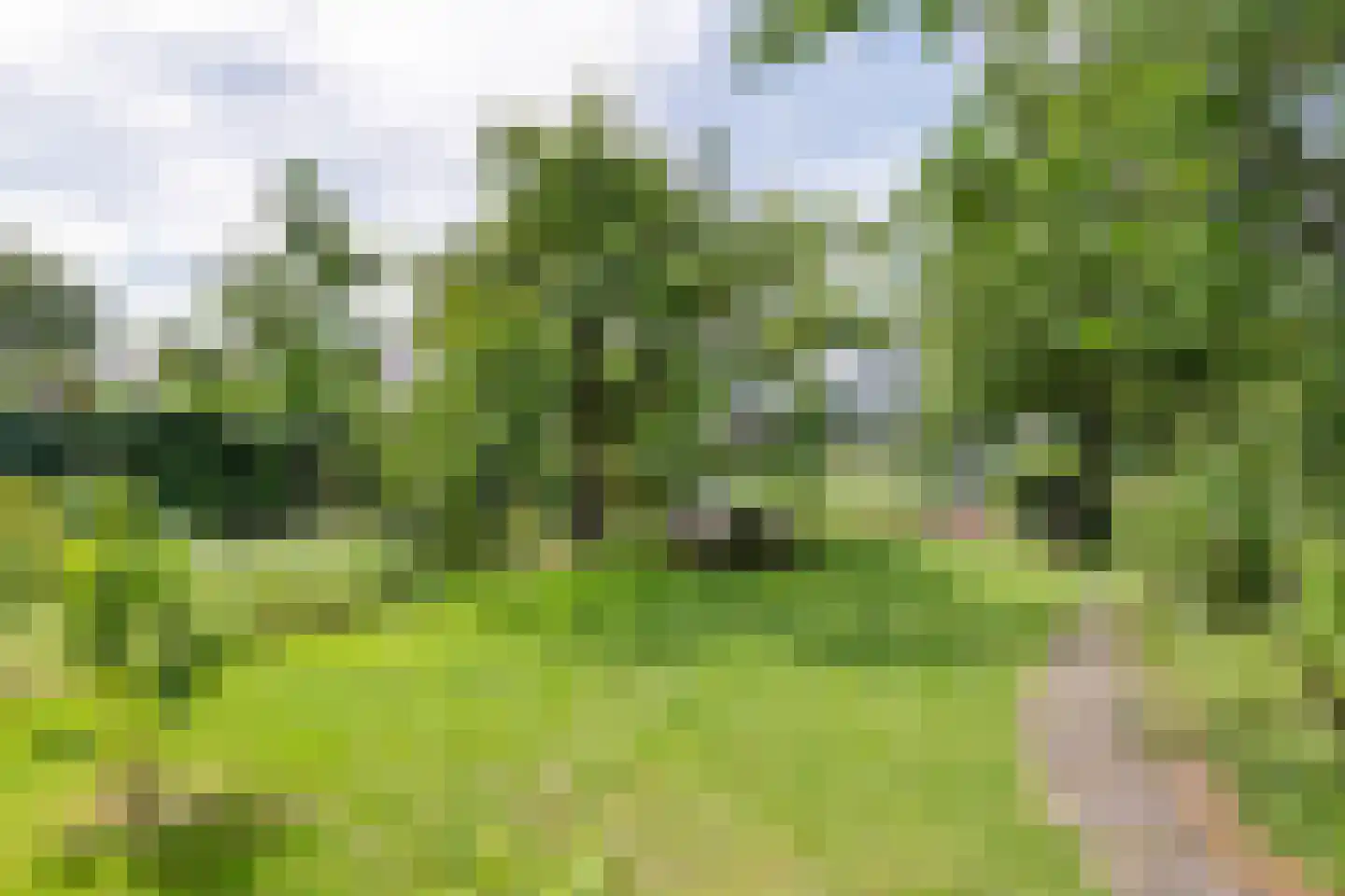 Medelsestraat 10 Tiel thumbnail 24