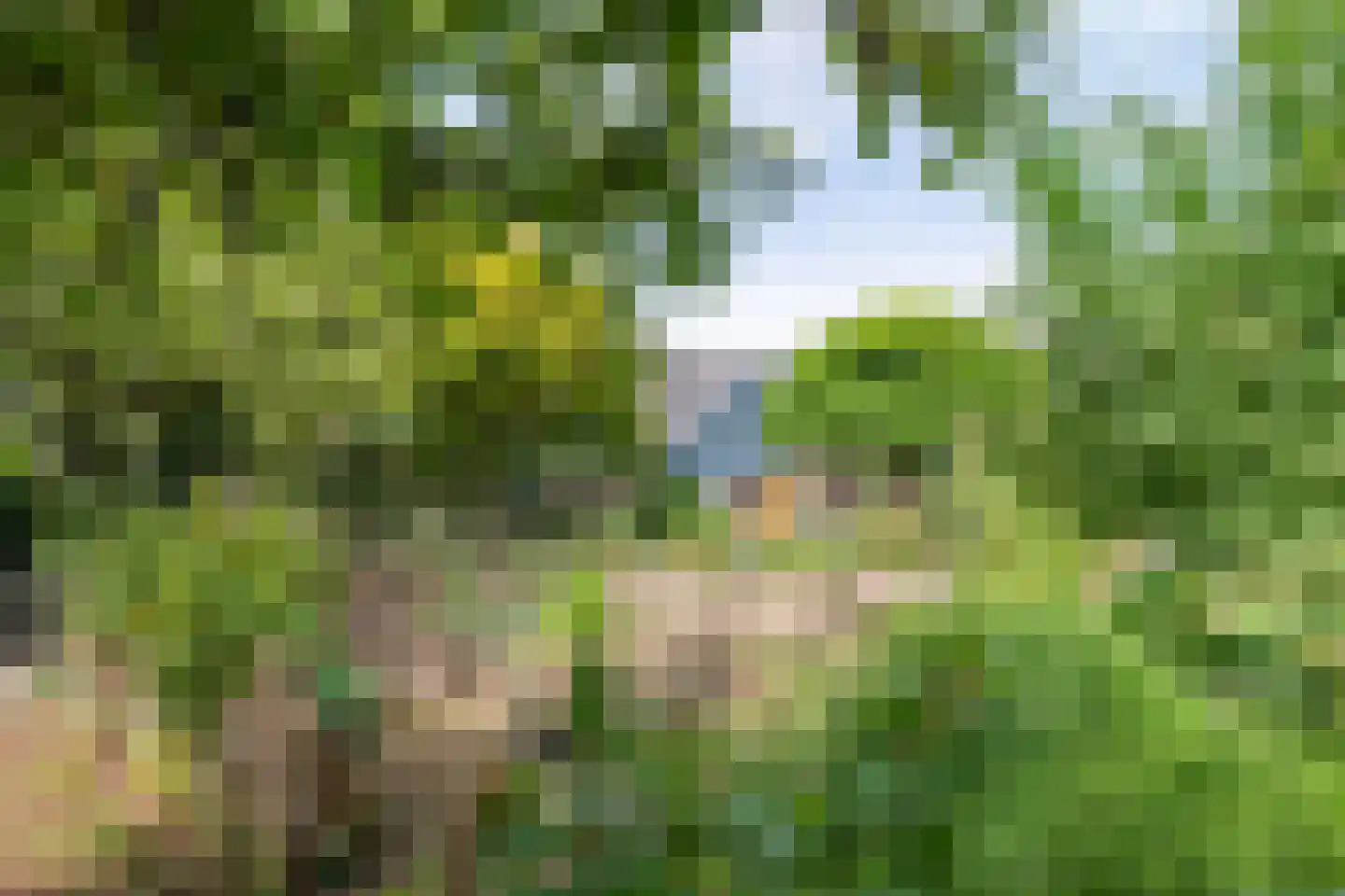 Medelsestraat 10 Tiel thumbnail 25