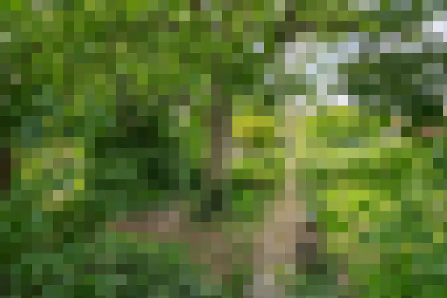 Medelsestraat 10 Tiel thumbnail 26