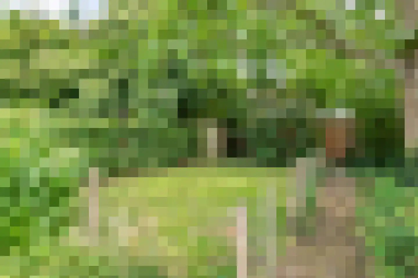 Medelsestraat 10 Tiel thumbnail 27