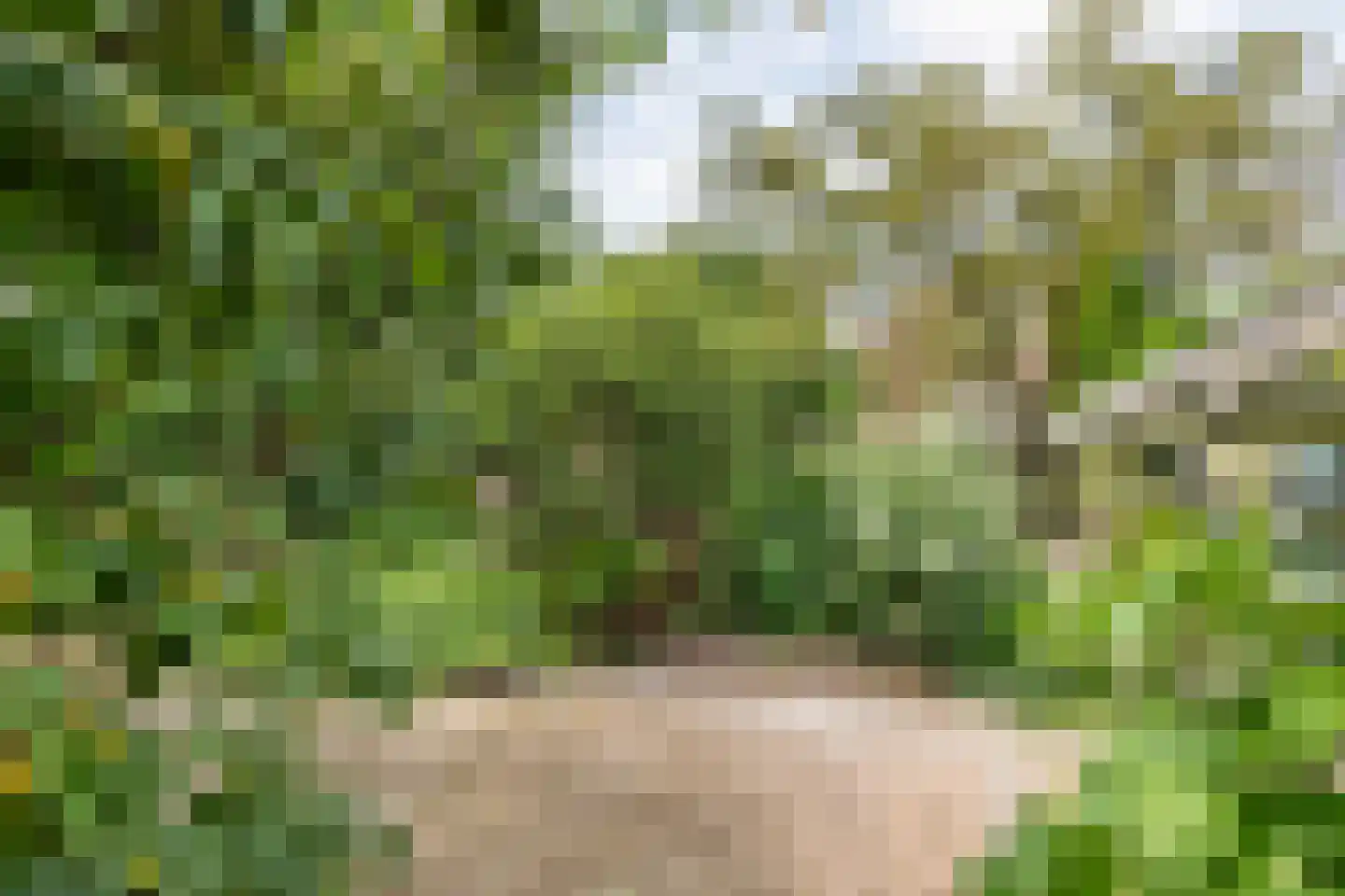 Medelsestraat 10 Tiel thumbnail 29