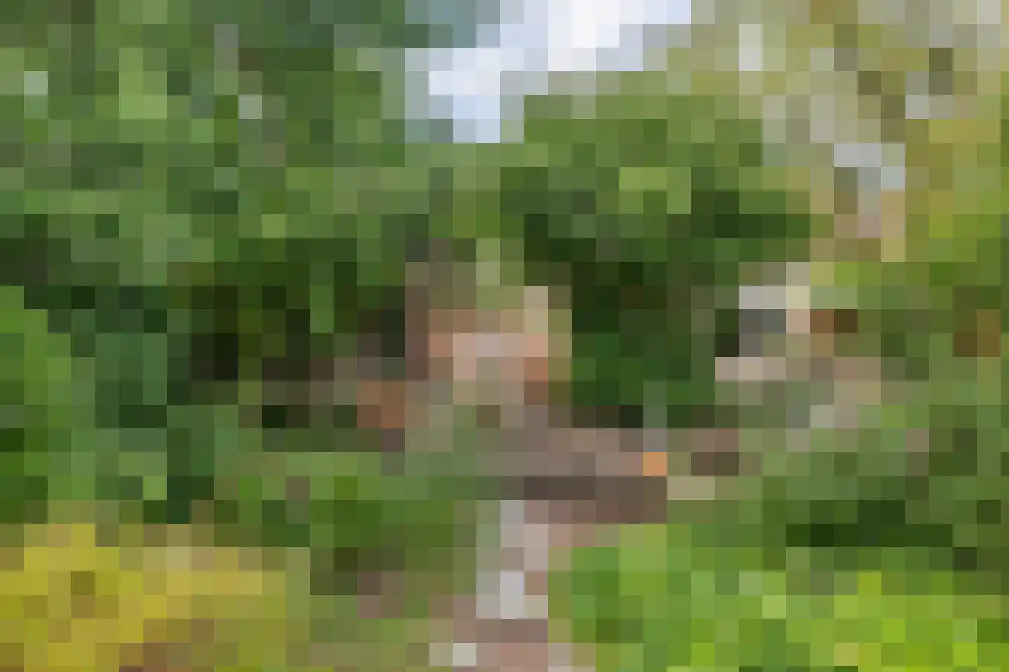 Medelsestraat 10 Tiel thumbnail 30