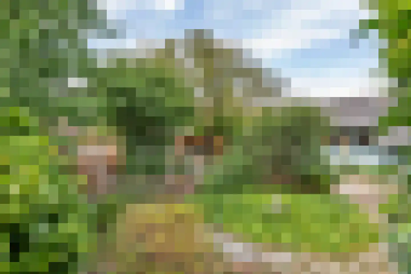 Medelsestraat 10 Tiel thumbnail 31