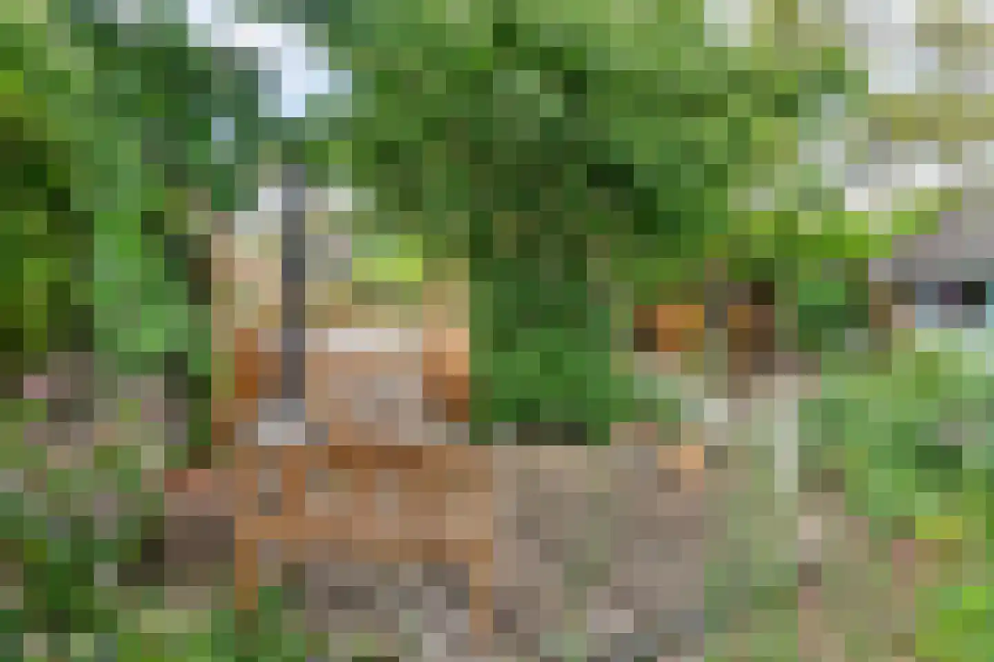 Medelsestraat 10 Tiel thumbnail 32