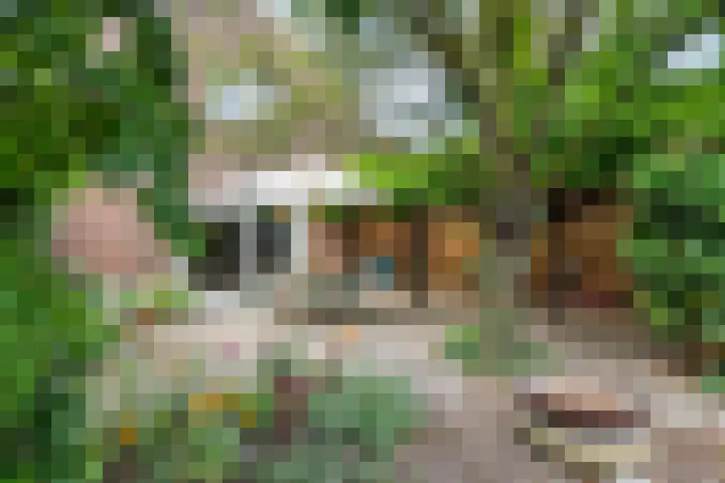 Medelsestraat 10 Tiel thumbnail 33